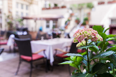 ALvis Restaurant Hofgarten Brunch