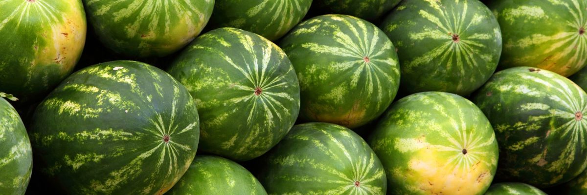 Tag der Wassermelone