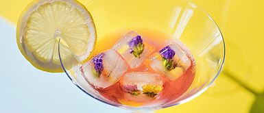 Sommerfeste und Catering Berlin Sommerfeste und Catering Berlin